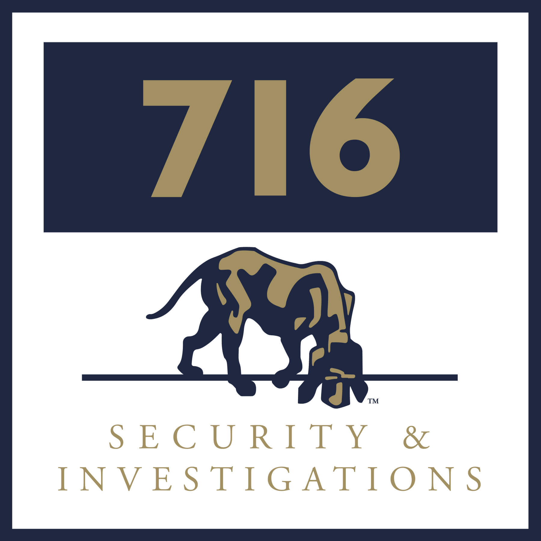 716 Security & Investigation